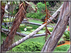 foto Parco botanico Terra Nostra